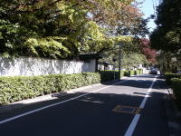 �ʐ^�A���莛