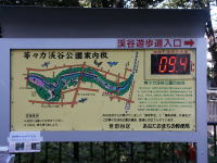 �ʐ^�A���X�͌k�J���x�v