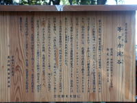 �ʐ^�A���X�͌k�J�Ŕ�