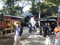 �ʐ^�A���X�͕s��