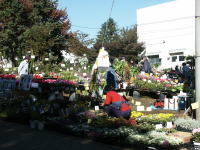 �ʐ^�A���X