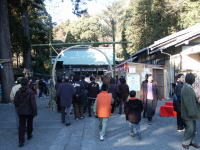 �ʐ^�A����_��