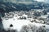 �ʐ^�A���싽1