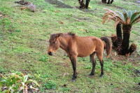 �ʐ^�A�s�䖦�̖쐶�n2