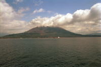 �ʐ^�A����