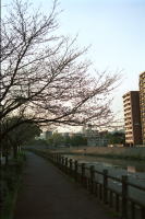 �ʐ^�A�b�ː�̍�