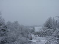 �ʐ^�A��̏����@1