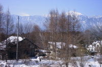 �ʐ^�A��̏����@2