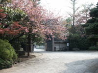 �ʐ^�A���_��