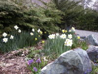 �ʐ^�A�X�C�Z��