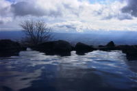 �ߐ{�z�e���̘I�V���C