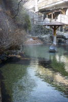 ��ۉ��򗷊٘I�V���C