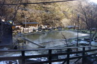 �k����v�[���̂悤�ȘI�V���C