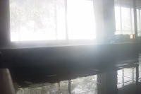 �ʐ^�A��������