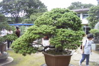 �ʐ^�A�~��1