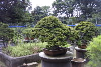 �ʐ^�A�~��2