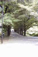 �ʐ^�A���|���Z�̕���