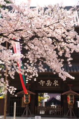 From Sengakuji temple to Takanawa Okido remains 