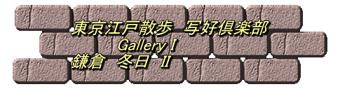 東京江戸散歩　写好倶楽部 　　　　Gallery I 鎌倉　冬日　II