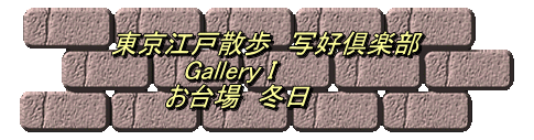 東京江戸散歩　写好倶楽部 　　　　Gallery I 　　　お台場　冬日